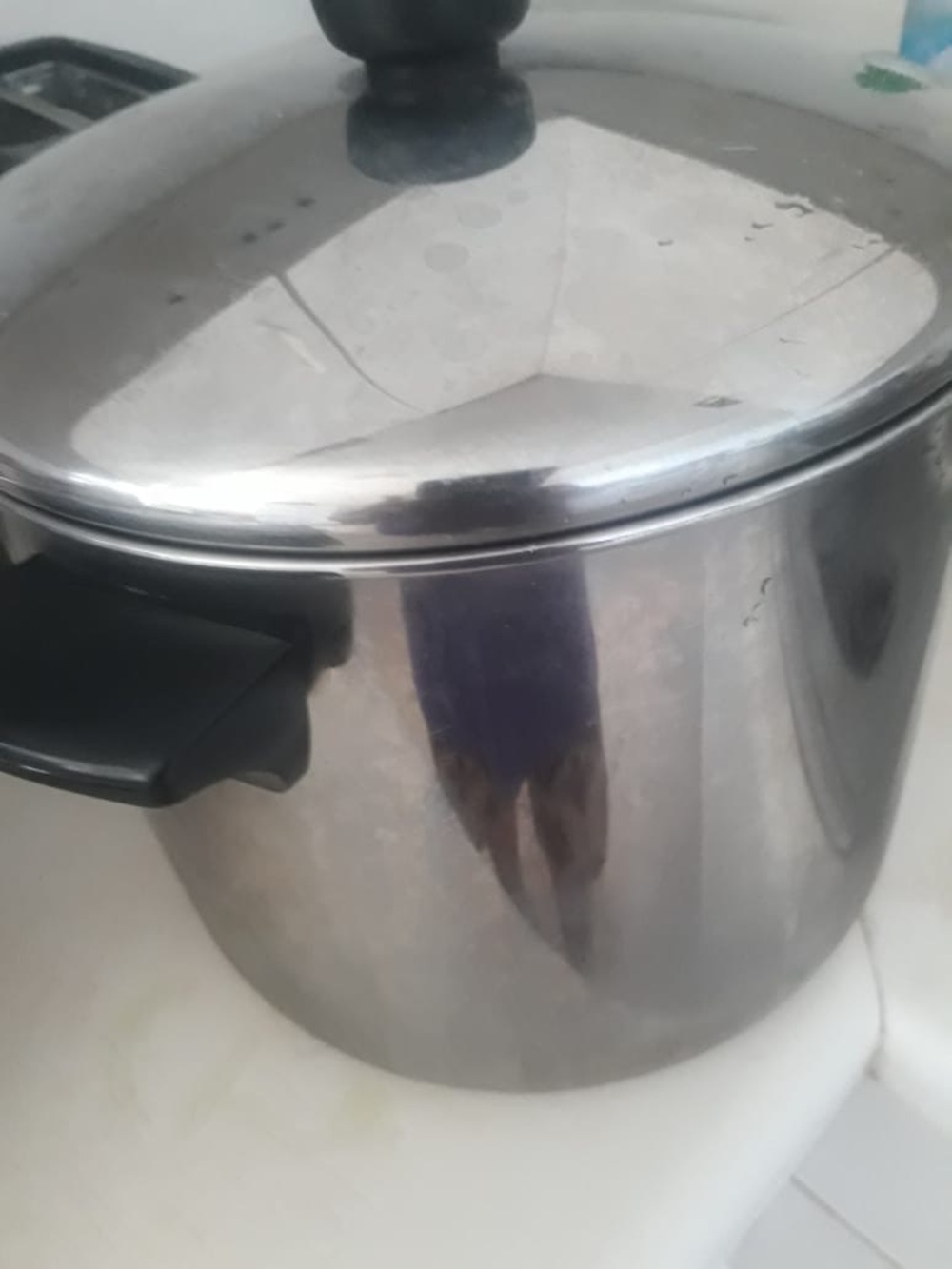 Stainless Steel Stock Pot with Lid